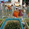    Hierbas workshop