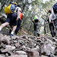    Trekking