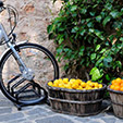    E Bike Tour