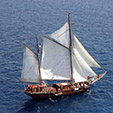   Historic Sailing Ship