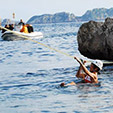    Coast challenge