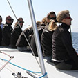    Team Sailing